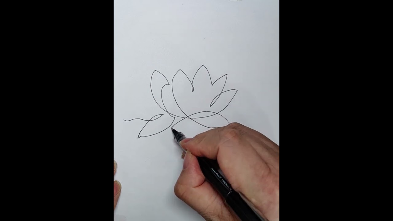 Learn how to draw a lotus flower with one line