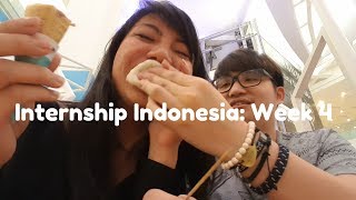Internship Indonesia: Week 4