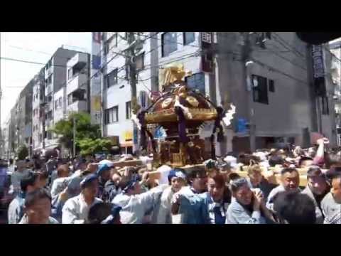 平成27年度 浅草八幡神社 例大祭【大神輿 宮出　町内渡御 】