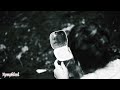 Nymphlord - 6 Feet Under (Official Visualizer)