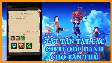 Đại Hải Trình - Tất tần tật các giftcode dành cho tân thủ và hướng dẫn nhập code