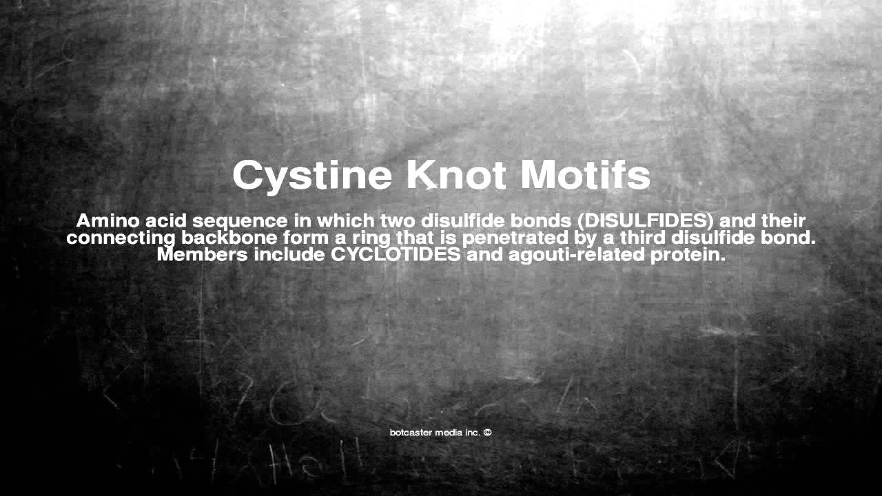 Medical vocabulary: What does Cystine Knot Motifs mean