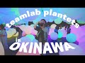 Teamlab future park  south of kadena air base in okinawa japan 