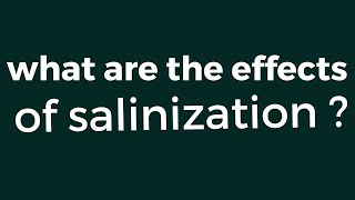 what are the effects of salinization?