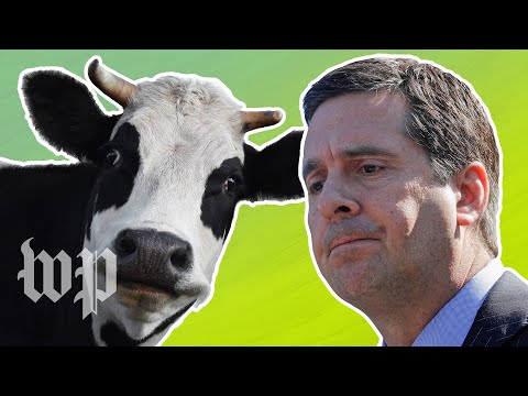 Why some conservatives feel targeted by social media companies