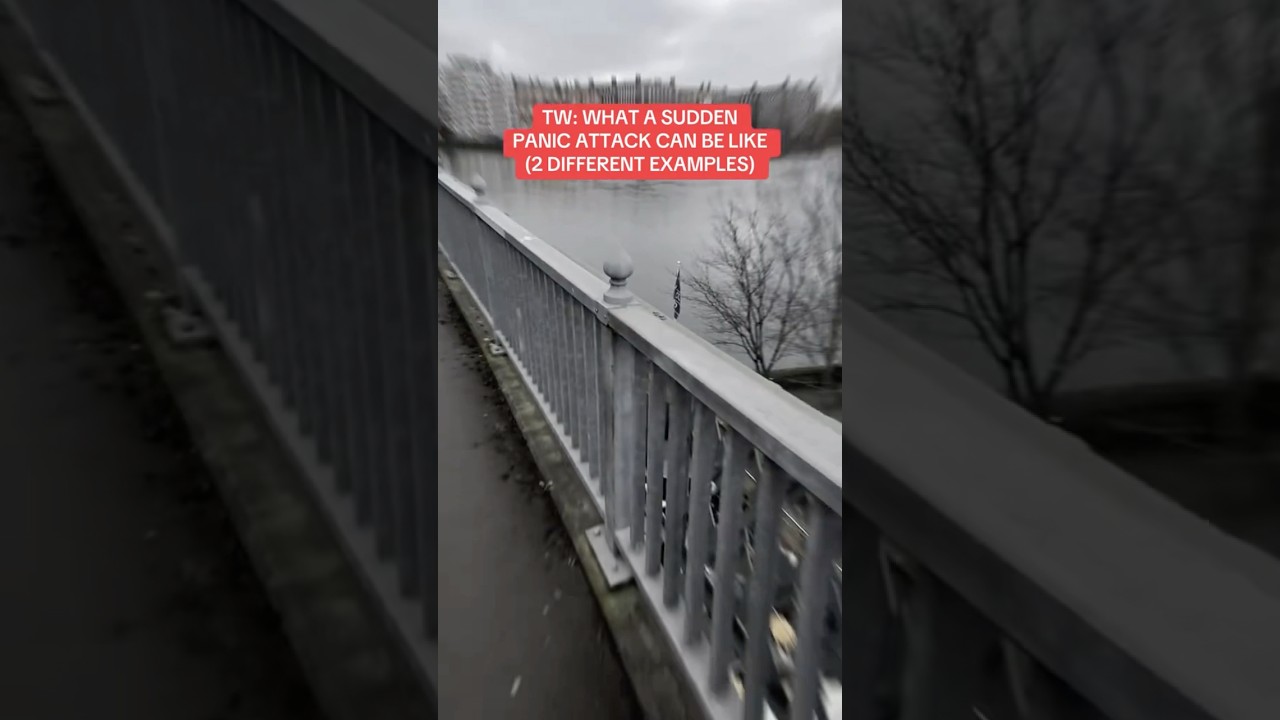 REALISTIC PANIC ATTACK SIMULATION (2 examples) 