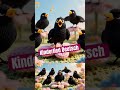 Kinderlied Deutsch | Vögel & Tiere für Babys und Kleinkinder