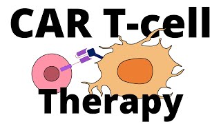 CAR Tcell Therapy explained (Manufacturing process & how it works)