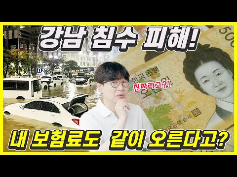 강남 침수차 때문에 곧 내 자동차 보험료 오른다!...강남 포트홀도 조심! 서울시에 수리 청구하세요