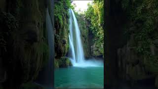 ASMR Air Terjun Nglirip Tuban #asmr  #airterjunindonesia   #nature