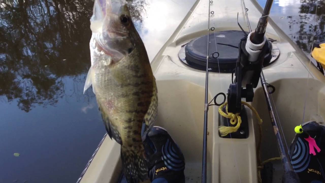 Kayak fishing, Lake Somerville Texas, Crappie,Bass and Catfish YouTube