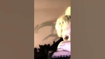 Jazmin Bean snippet (song maybe from upcoming album.)