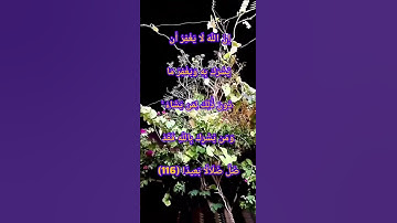 #قران_كريم #قرآن #قران_كريم #سورة_النساء ؛  إِنَّ اللَّهَ لَا يَغْفِرُ أَن يُشْرَكَ بِهِ وَيَغْفِرُ