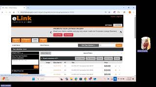 eBay Category Flags in eLink:  Revise eBay Category