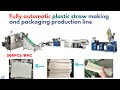 Fully Automatic Plastic Straw Making Machine And Packaging Machine Production Line 