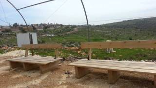 David Haivri Speaking About The Jewish Shepherds Tent