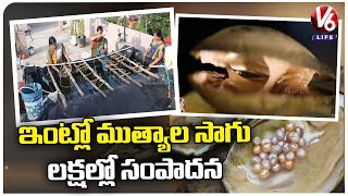 Pearl Farming : Woman Grows Pearls in Terrace, Earns Over Rs.1 Lakh Per Month | V6 News