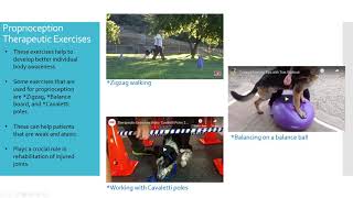 Shea Therapeutic Exercises Chapter 24