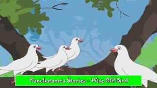 Clever Dove | Panchatantra Hindi Stories | Animated Hindi Stories For Kids | Hindi Kahaniya
