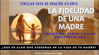 CDOA: LA FIDELIDAD DE UNA MADRE