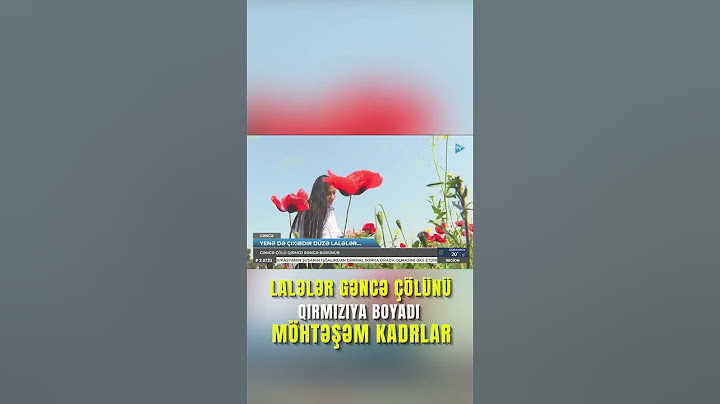 Lalələr Gəncə çölünü cənnətə çevirdi - MÖHTƏŞƏM GÖRÜNTÜLƏR