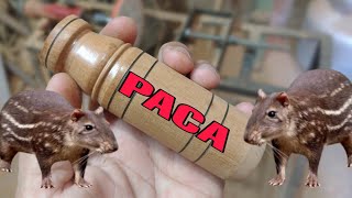 #paca #pacachallenge HOW TO MAKE A FLAME TO ATTRACT PACA IN WOOD