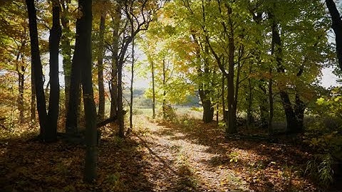 Connecting with nature - Thank you, 2025 Bruce Trail Conservancy Donors