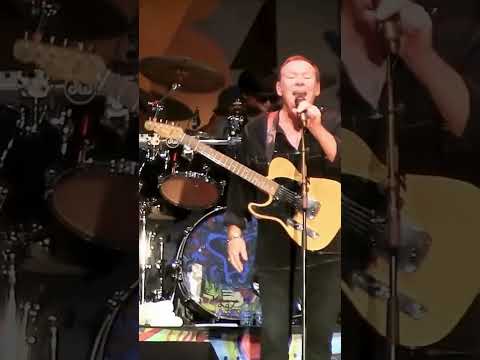 UB40 - Red Red Wine #reggae #reggaemusic #livereggae  #livemusic #reggaelive