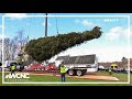 Rockefeller Christmas tree cut down, begins trek to New York City
