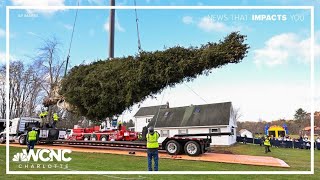 Rockefeller Christmas tree cut down, begins trek to New York City