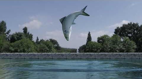 PICTURE TO ANIMATION in Blender - Fish