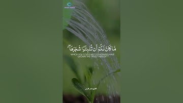 أَإِلَٰهٌ مَّعَ اللَّهِ..!! || القارئ عمر فارس || سورة النمل  #quran #عمر_فارس