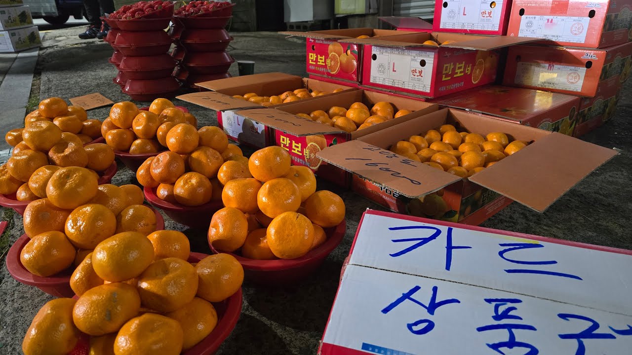 과일 일기  새로운출발 #새벽장터 #생존본능 #샤인머스켓