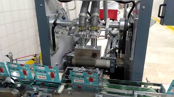Full automatic sugar cubes Production and Packing. T.T.O.R-145