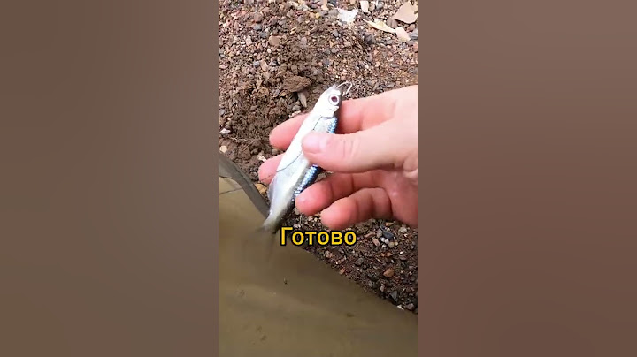 Как насадить живца на щуку