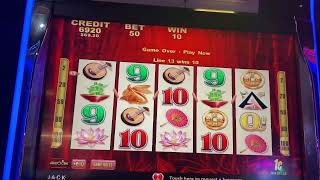 WILD PANDA💥💥💥💥 TRYING SOMETHING DIFFERENT 💥💥💥 screenshot 4