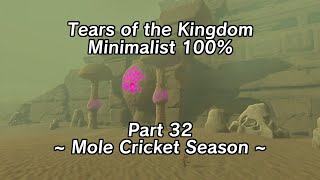 Tears of the Kingdom Minimalist 100% Part 32 - Mole Cricket Season
The spreadsheet with the documentation, rules, explanations etc. can be found here: https://docs.google.com/spreadsheets/d/15CBosUfEnbcF0XjPCStMHMzohUPu1zK9hnLiSkraHMY/edit#gid=897908243
A location checklist can be found here: https://docs.google.com/spreadsheets/d/12XaCeQCspe0OvKHhBXNb_BNHH6GUqYB_FzeyC7eK8E0/edit?pli=1#gid=1916393668 Tears of the Kingdom Minimalist 100% Part 32 - Mole Cricket Season