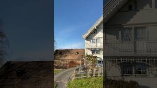 Typical House In The Swiss Alps