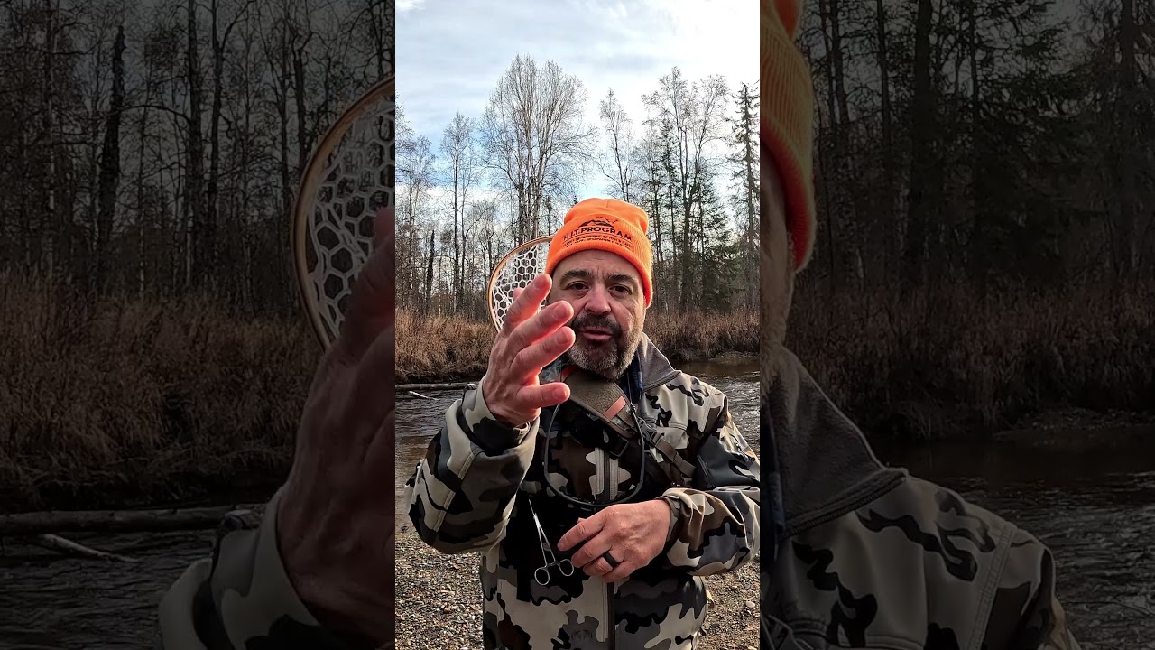 DIY Bear Protection in AK. 