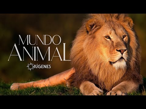 ORÍGENES | MUNDO ANIMAL - TRAILER TEMPORADA 11