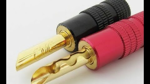 9 different types of banana plug personalities