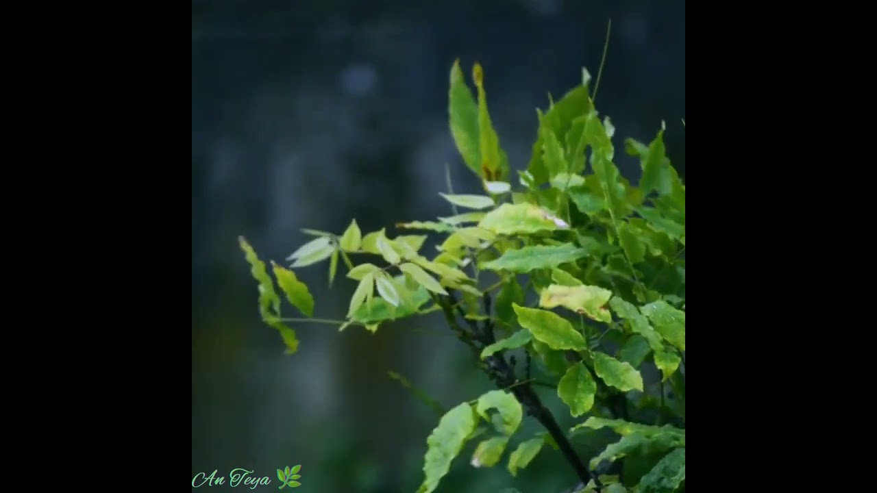 Is there Something by Christopher Cross