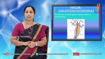 KITE VICTERS Plus One Zoology Class 07 (First Bell-ഫസ്റ്റ് ബെല്‍)