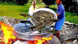 SNAKEHEAD MURREL FISH | Viral Meen Kuzhambu | River Fish Gravy Prepared by Uncle Cooking In Village