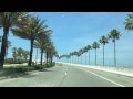 Road Palm Trees