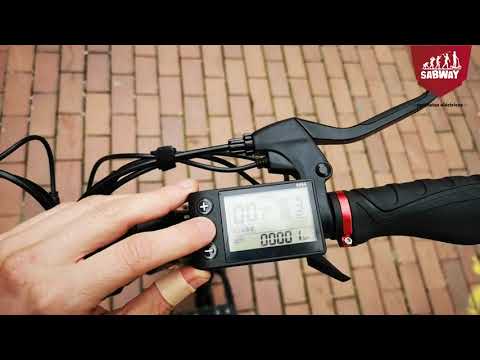 Patinete eléctrico Dynamic Pro Dual Motor Brushless 2400W potencia máxima. Características técnicas.