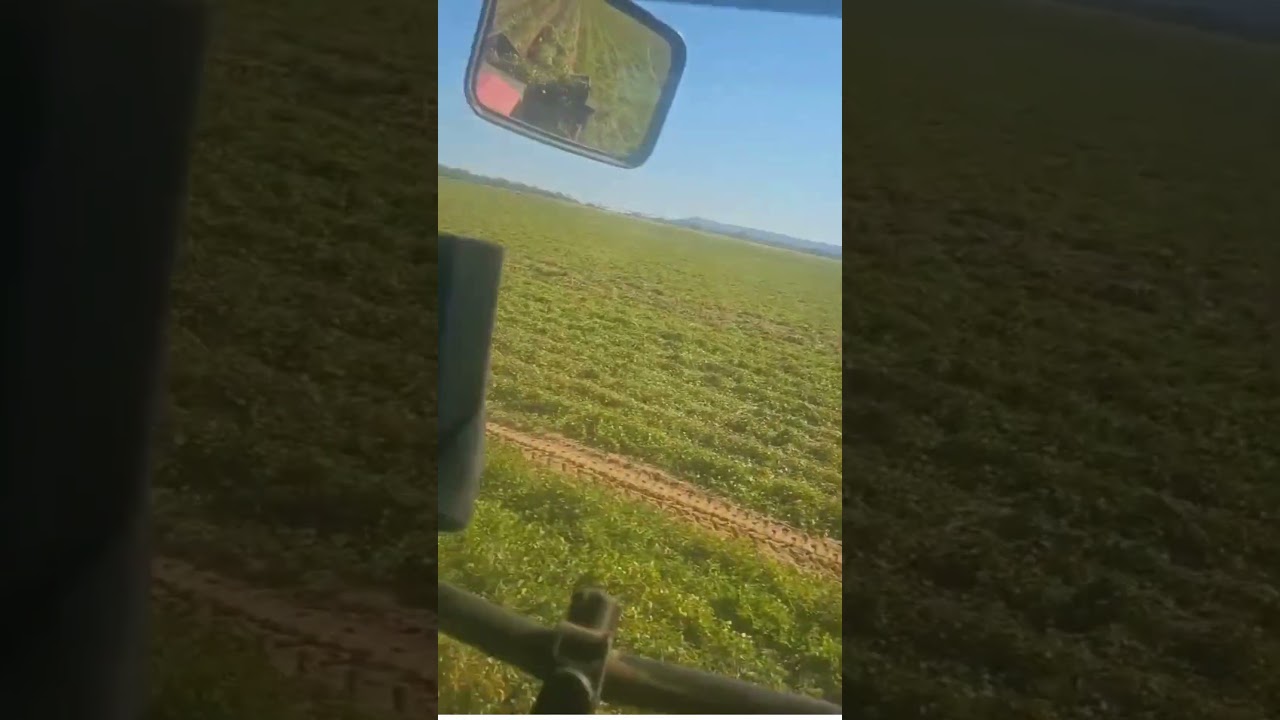 Digging peanuts on a Massey Ferguson 8160 with FJD AT2 autosteer