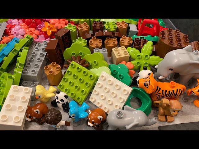 Duplo LEGO Animals Washing and Cleaning - ASMR