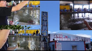 (宜蘭之旅 2)太平洋釣場 第一次在宜蘭釣泰國蝦!!#國寶#太平洋釣場#台湾のエビ釣り #Taiwanshrimpfishing #대만새우낚시