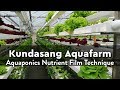 Kundasang Aquafarm | Aquaponics Nutrien Film Technique | NFT